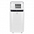 Мобильный кондиционер Electrolux EACM-22 JK/N3 Ice Column в Харцызске